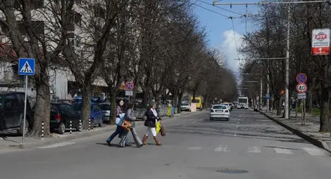 Кола помете жена на опасната зебра в началото на &bdquo;Плиска&ldquo;