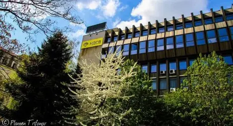 Нова драма с НДСВ: Гонят партията от "Врабча"