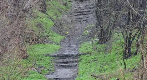 Първият СОТ в Русе измислен след серия нагли кражби на Гугутката и Сома