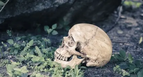 Секта на канибали вилнее в Благоевград