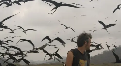 Рядка птица в Новия свят