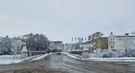 Снимка: БТА Снимка: БТА