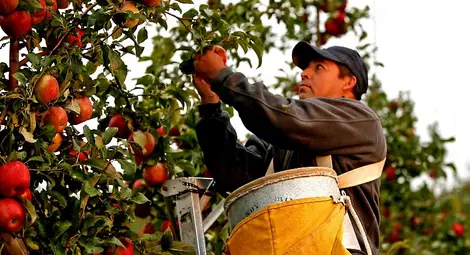Еднодневните трудови  договори вече са в сила