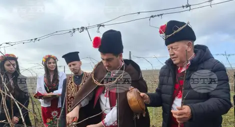 Снимка: БТА