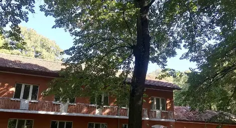 Община Русе поиска затваряне на частния хоспис в Лесопарка &bdquo;Липник&ldquo;