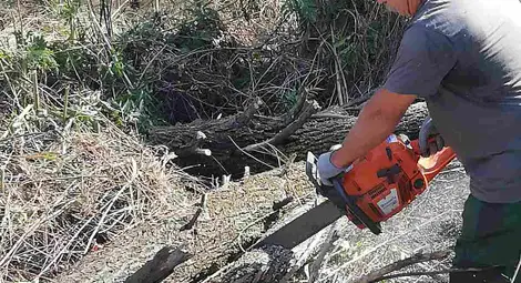 Община Русе завърши почистването на коритото на река Русенски Лом Община Русе завърши почистването на коритото на река Русенски Лом