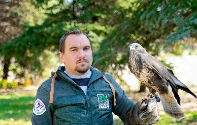Показват в Русе кукумявката Блага и мишелова Хари в Международния ден на лешоядите