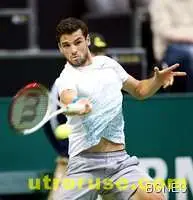 Дел Потро спря Гришо в Ротердам