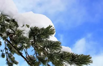 Днес ще е слънчево и топло, температурите ще стигнат до 16 градуса