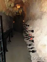 Музей на виното отвори врати в Мелник