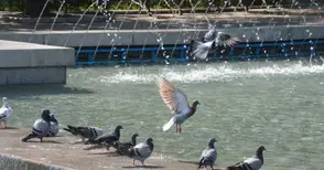 38 градуса на сянка днес за първи път от 50 години