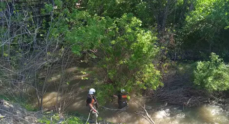 Община Русе предприе действия по почистване на участък от Русенски Лом