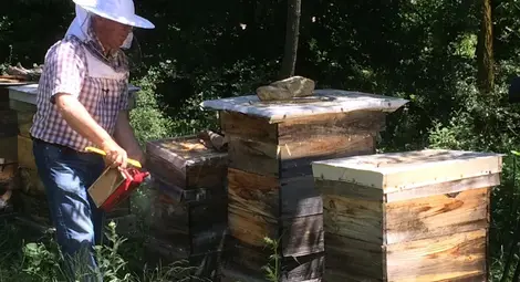 Фонд &bdquo;Земеделие&ldquo; преведе над 8 милиона лева за биологично растениевъдство и пчеларство