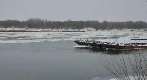 БРП закотви първите шест секции, за да спре ледохода срещу Пристанище Запад, днес се очаква до тях да бъдат наредени още 10.  Снимка: Красимир СТОЯНОВ