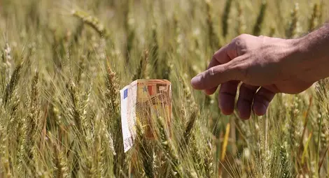 14 изнесени приемни консултират фермерите до края на март