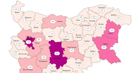 Семействата в Русе твърдо вървят към модела &bdquo;Едно дете&ldquo;