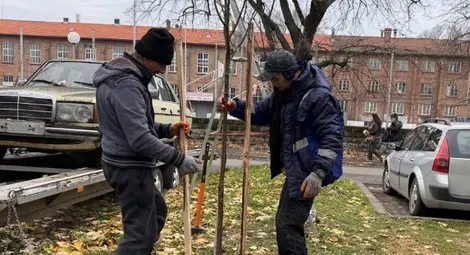 Още 30 нови дръвчета обогатяват зелените пространства в Парка на младежта в Русе