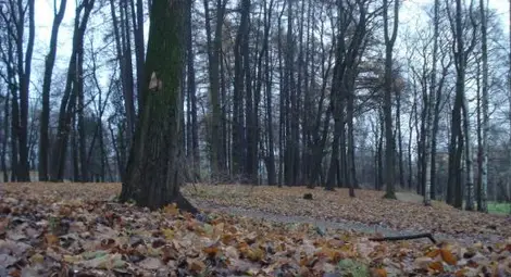 Облачна и хладна събота