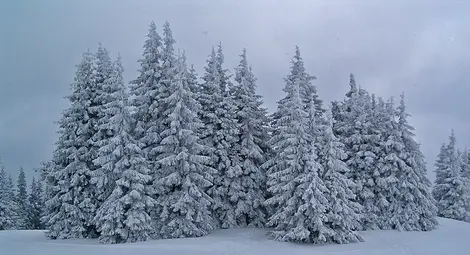 В събота преминава студент фронт, иде сняг