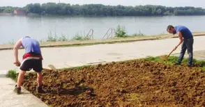 Организаторите на тарлата почистиха и озелениха кея