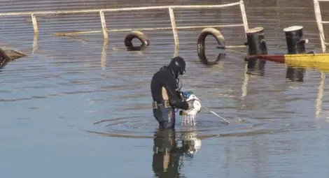 Започна източването на горивото от потъналия кораб край Русе