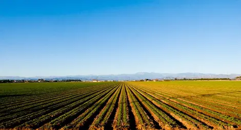 За една седмица 227 000 посещения за онлайн справки по директните плащания