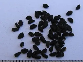 Черен кимион - лекът срещу всички болести