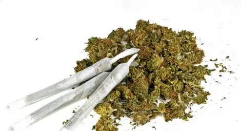 Граничен патрул хвана дилър и двама наркомани до хижа "Приста"