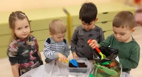 Екопроект превърна в рай за птиците русенската детска градина "Радост" /галерия/