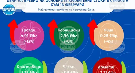 Снимка: БТА