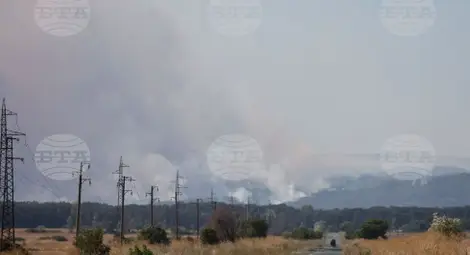 Снимка: БТА Снимка: БТА