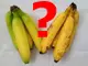 Как да разбера, че бананите са натъпкани с 