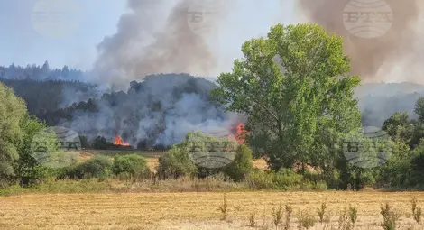 Снимка: БТА