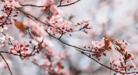 Температурите тръгват нагоре, разкъсана облачност през седмицата Температурите тръгват нагоре, разкъсана облачност през седмицата
