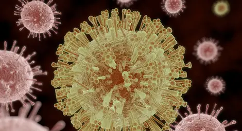 СЗО: Страшният вирус Зика настъпва в Америка