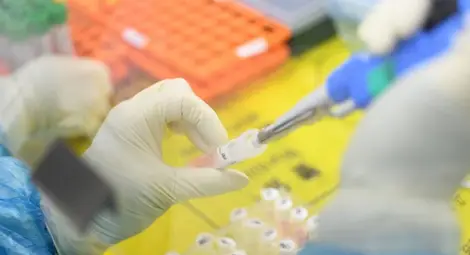 В Южна Корея откриха 38 антитела, неутрализиращи коронавируса