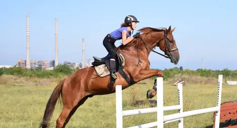 Млади ездачи на турнир за купа „Русе“ през уикенда Млади ездачи на турнир за купа „Русе“ през уикенда