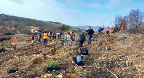 Снимка: БТА