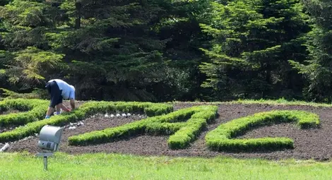 Студентска бригада в САЩ ли? Може и в община Завет Студентска бригада в САЩ ли? Може и в община Завет