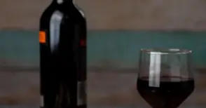 Първият фестивал „Винофрения“ завладява за два дни Летния театър и Военния клуб в Русе