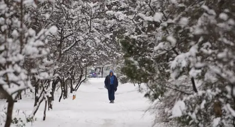 Снеговалежът остави населени места без ток