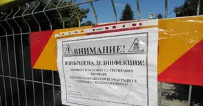 Фирмата за дезинфекция на свинекомплексите: Няма опасност за разнасяне на зарази от загробените прасета