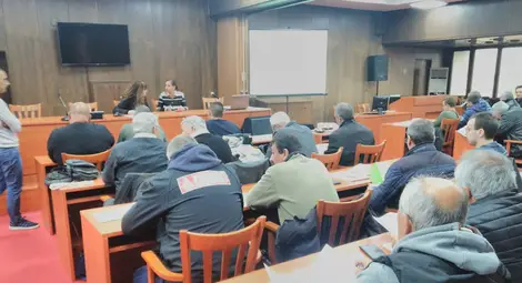 Внос на &bdquo;супер пчели&ldquo; от  чужбина опразва кошерите