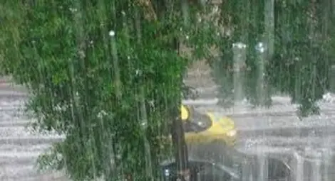 Градушка подпука София Градушка подпука София