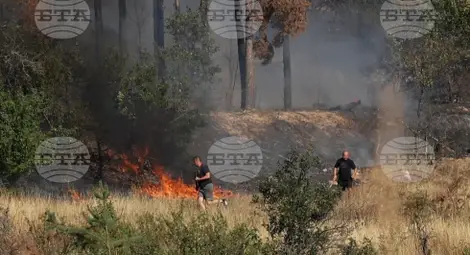 Снимка: БТА