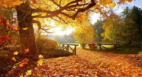 Ето какво време ни очаква