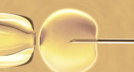 Отпускат повече пари за ин витро
