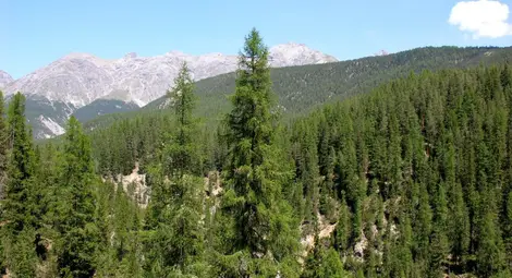 Снимка: Уикипедия