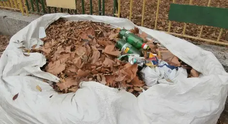 Грамадни чували с окапали листа от дърветата зарязани по улиците