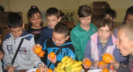 На 15 август започва приемът  по схемата &bdquo;Училищен плод&ldquo;